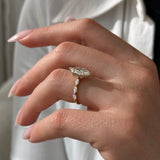 2 CT Round Halo & Pave Lab Grown Diamond Engagement Ring