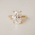 2 CT Round Halo & Pave Lab Grown Diamond Engagement Ring