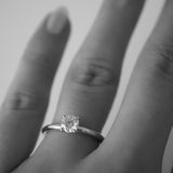 2 CT Round Halo & Pave Lab Grown Diamond Engagement Ring