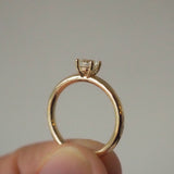 2 CT Round Halo & Pave Lab Grown Diamond Engagement Ring