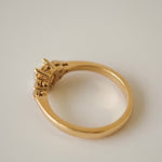2 CT Round Halo & Pave Lab Grown Diamond Engagement Ring