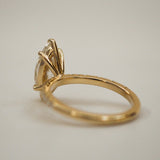 2 CT Round Halo & Pave Lab Grown Diamond Engagement Ring