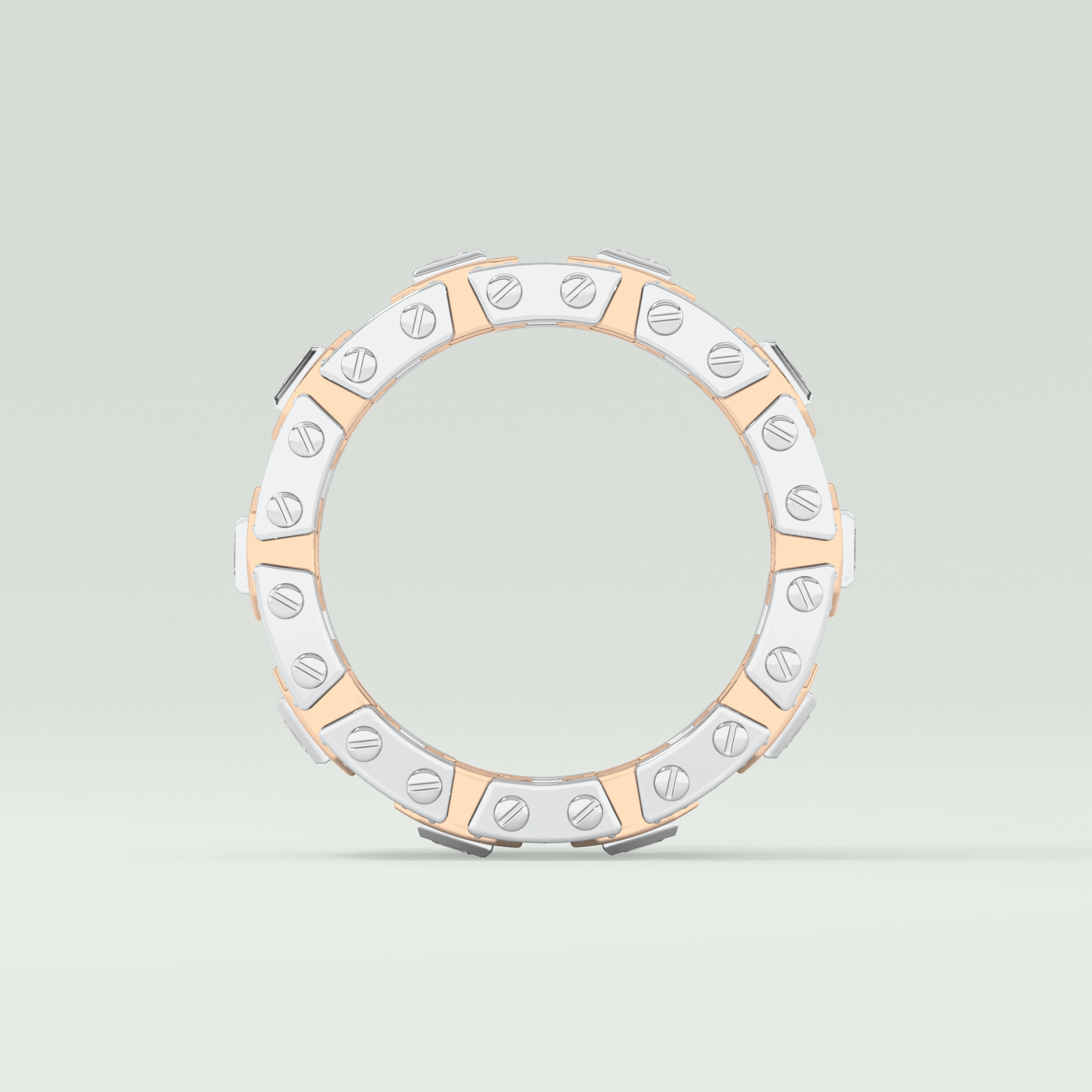 Princess & Round Moissanite Stones Two Tone Moissanite Wedding Band 13