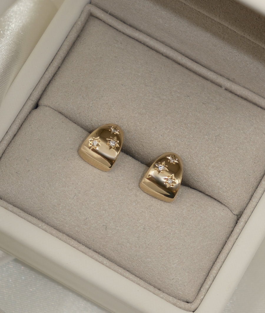 2 CT Round Halo & Pave Lab Grown Diamond Earring