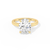 Hailey Bieber – Inspired 4.30 Carat Oval Cut Hidden Halo Moissanite