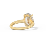 Hailey Bieber – Inspired 4.30 Carat Oval Cut Hidden Halo Moissanite