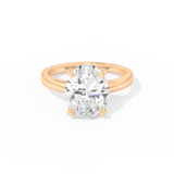 Hailey Bieber – Inspired 4.30 Carat Oval Cut Hidden Halo Moissanite