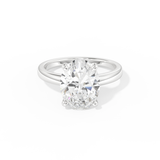 Hailey Bieber – Inspired 4.30 Carat Oval Cut Hidden Halo Moissanite
