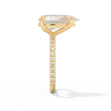 Adele – Inspired 5.0 Carat Pear Cut Pave Moissanite