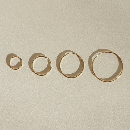 Stunning Metal Hoops Earrings in Gold 1