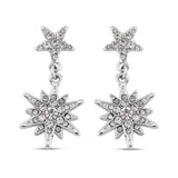 Round Cut Cubic Zirconia in 925 Sterling Silver Earrings 1