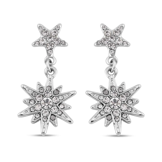 Round Cut Cubic Zirconia in 925 Sterling Silver Earrings 1