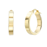 Classic Hoops Earrings in Gold 1