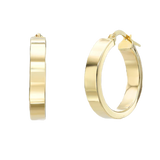 Classic Hoops Earrings in Gold 1