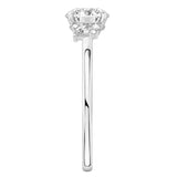 Stunning 0.50-1.50 CT Round Moissanite Engagement Ring With Cluster Design 6