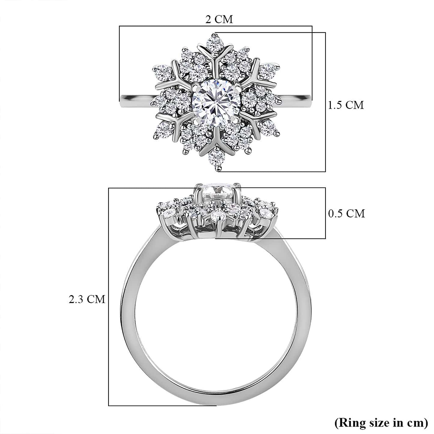 Round Cut Halo Style Cubic Zirconia in 925 Sterling Silver Ring 6