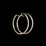 Round Cut Cubic Zirconia in 925 Sterling Silver Earrings 10
