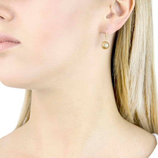Round Cut Cubic Zirconia in 925 Sterling Silver Earrings 2