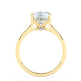 Stunning 3.0 CT Oval Moissanite Engagement Ring with Double Hidden Halo Design 4