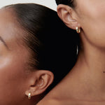 Square Huggies Earrings in Gold 6