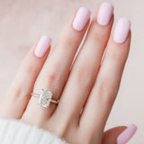 KYZ217
