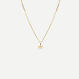 Tiny Zodiac Necklace