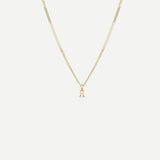 Tiny Zodiac Necklace