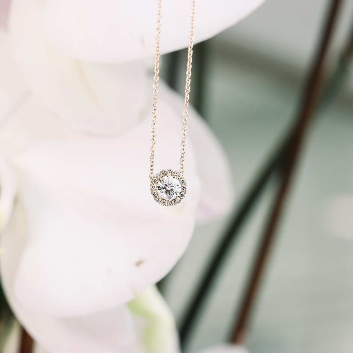 
                  
                    0.45 CT Round Cut Moissanite Necklace With Halo Style
                  
                